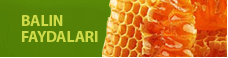 Balın Faydaları