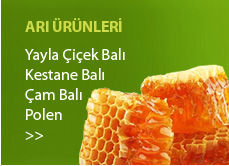 Doğanın Mucizesi Balın Faydaları