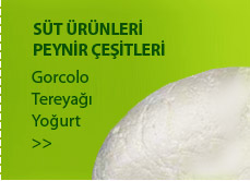 Süt Ürünleri, Peynir Çeşitleri